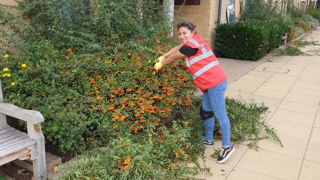 Young woman in red high vis jacket pruning a shrub outside Southlands College